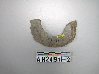 藏品(打製石環)的圖片